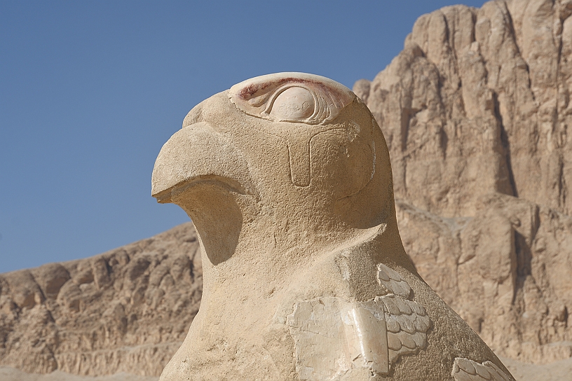 55 MAK_6058.jpg - Eccolo il dio Horus, fra le più antiche divinità egizie, era figlio di Iside e Osiride, è il dio del cielo e salvaguarda il potere dei faraoni.